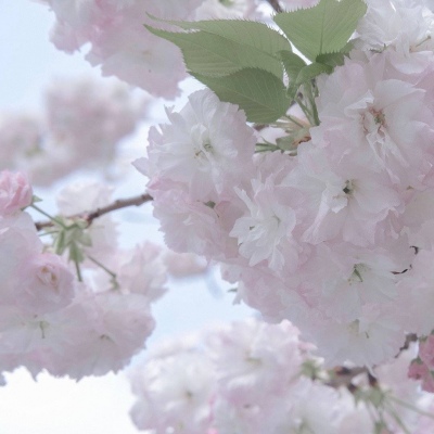 兽设创意设计灵感兽圈群